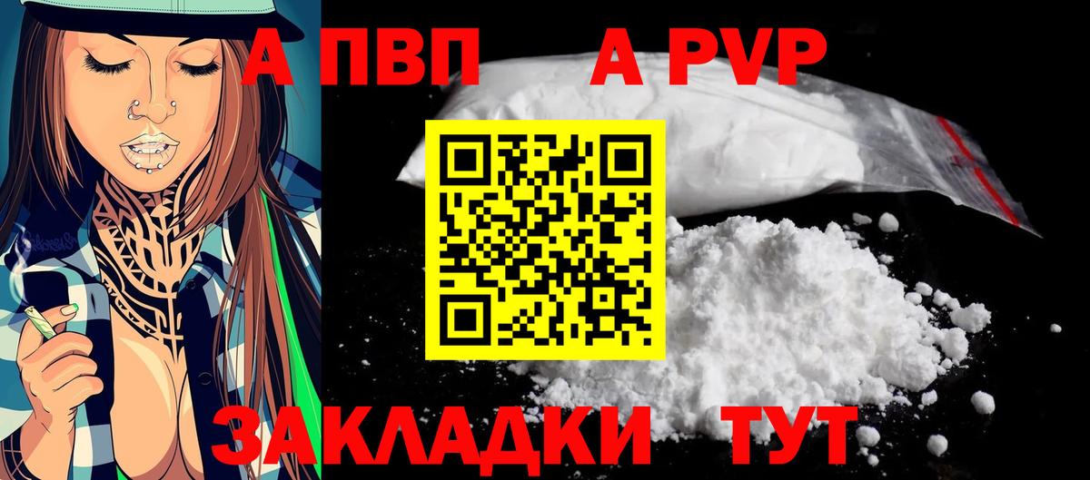 Альфа ПВП СК КРИС Малгобек