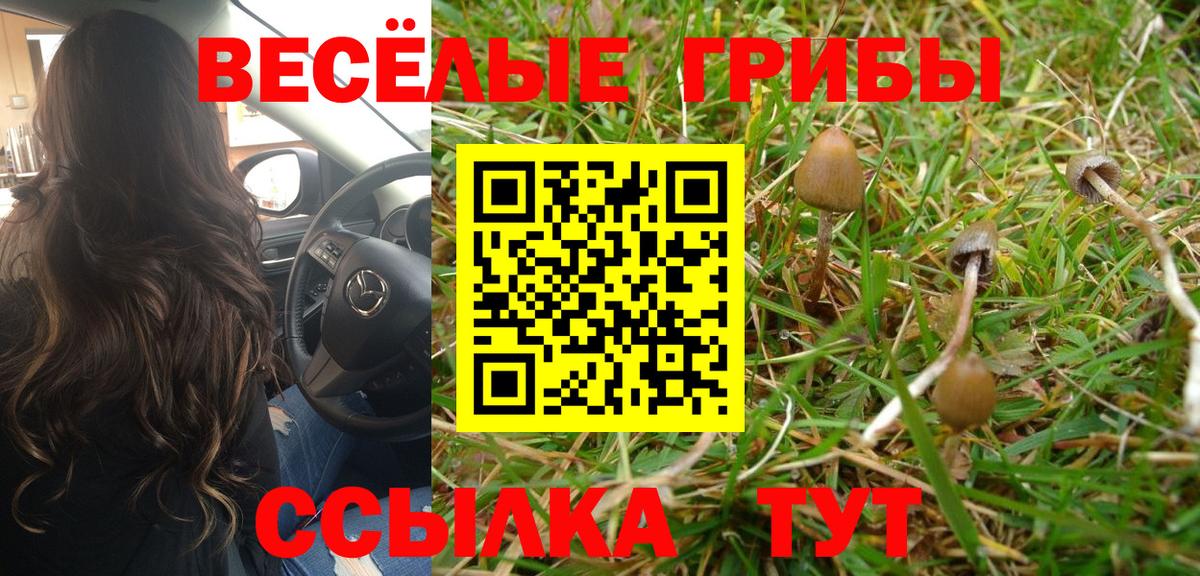 Псилоцибиновые грибы Psilocybine cubensis  Вход с VPN  где можно купить   Малгобек 